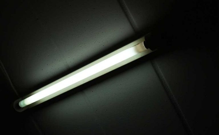 Fluorescent Bulb