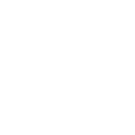 Blink EV Logo