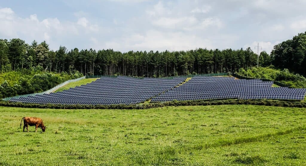 Who Qualifies for USDA REAP Grants and Loans? EnergyLink